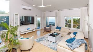 TV, books, music library, stereo