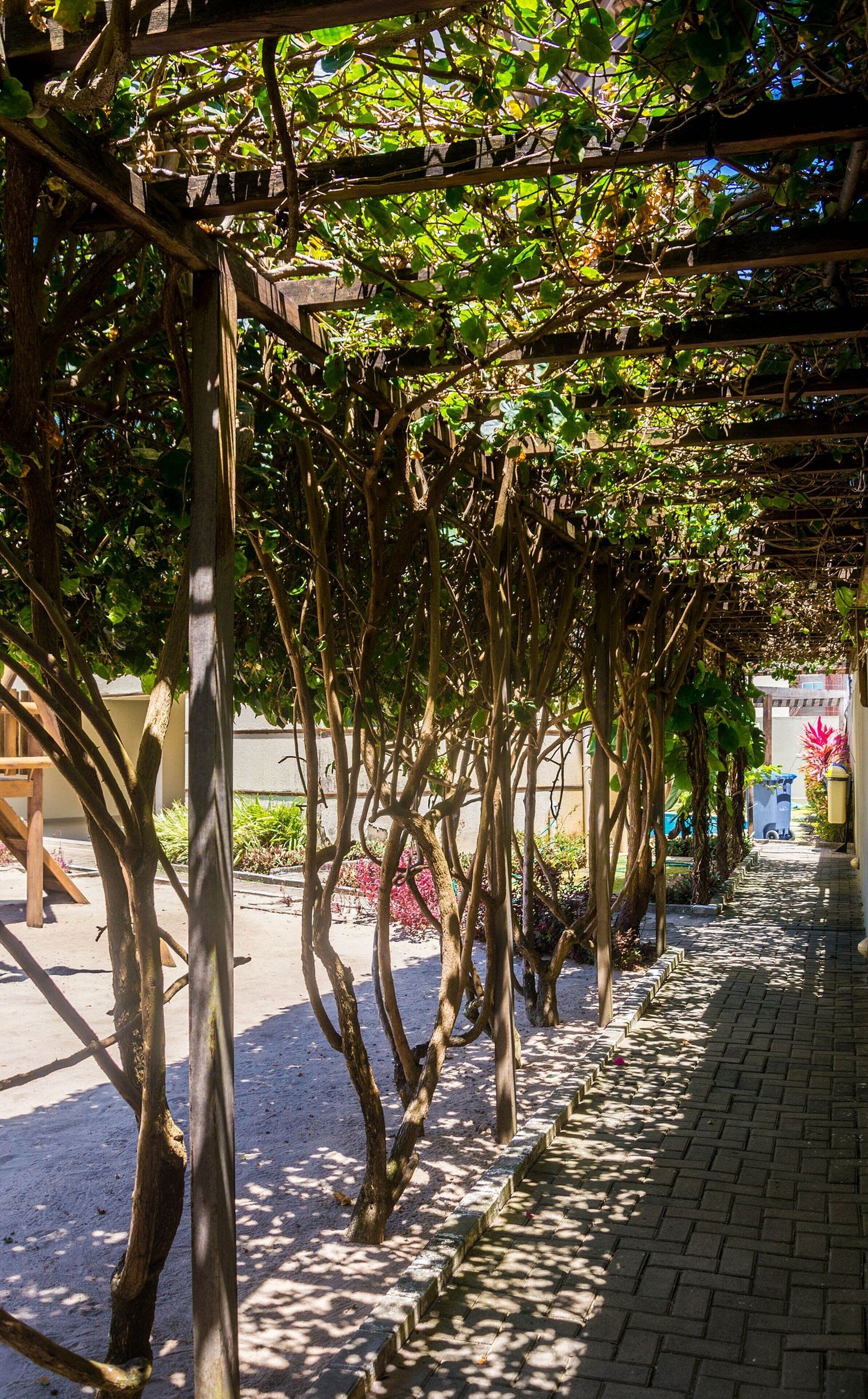 Apartment | Property grounds