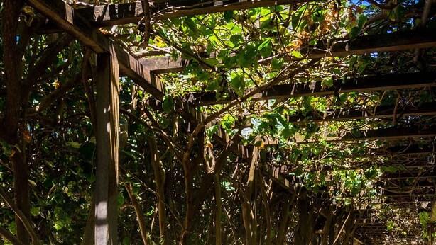 A covered walkway with trees and a brick path. - Manawa Beach Flat by All (Ipojuca)