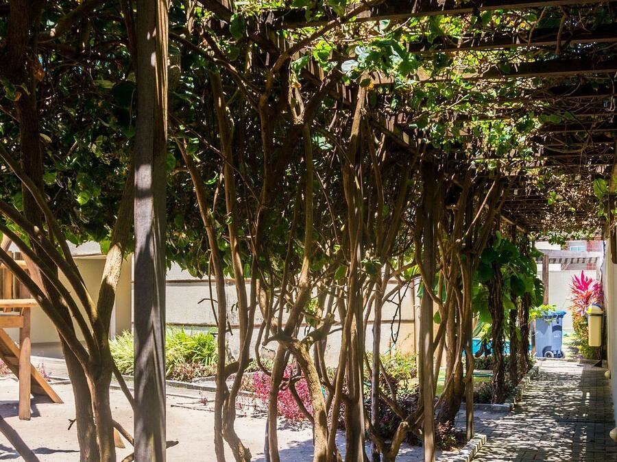 Apartamento | Jardines del alojamiento