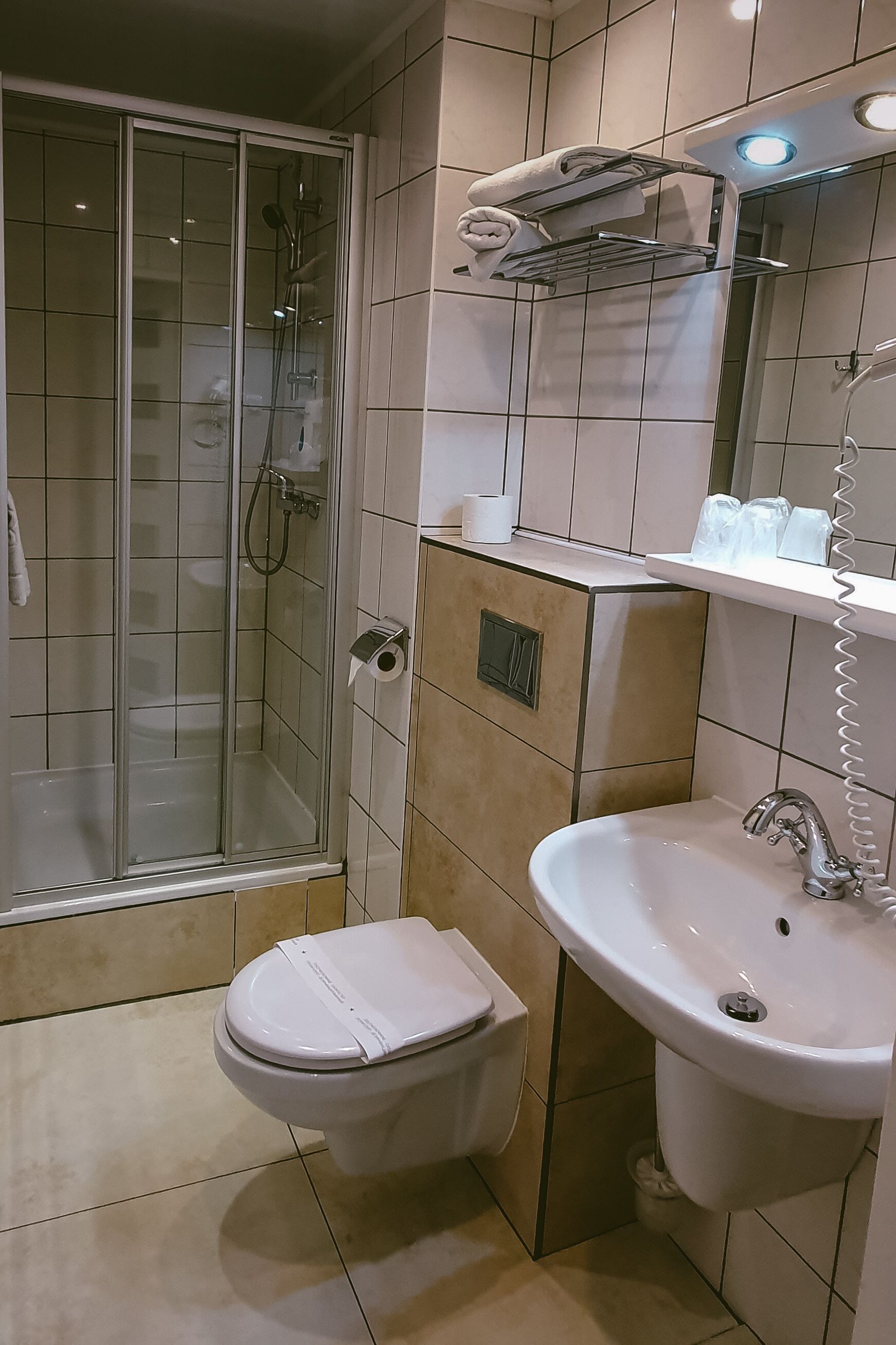 A bathroom with a glass-enclosed shower, a white toilet, a sink with a mirror, and a shelf with toiletries.