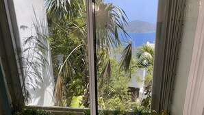 A window with a view of a garden and a mountain.