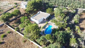 Vista aérea de una propiedad con piscina, un edificio blanco y abundante vegetación.