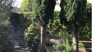 Eine Treppe, umgeben von hohen, dichten Bäumen, die zu einem Gebäude mit einem Balkon führt.