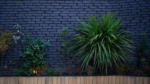 A garden with various plants and a wooden border against a dark brick wall. - Communal Hotel Kutaisi (Kutaisi)