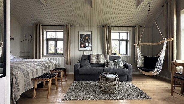 Une pièce confortable avec un lit, un canapé, un fauteuil suspendu et un tapis.