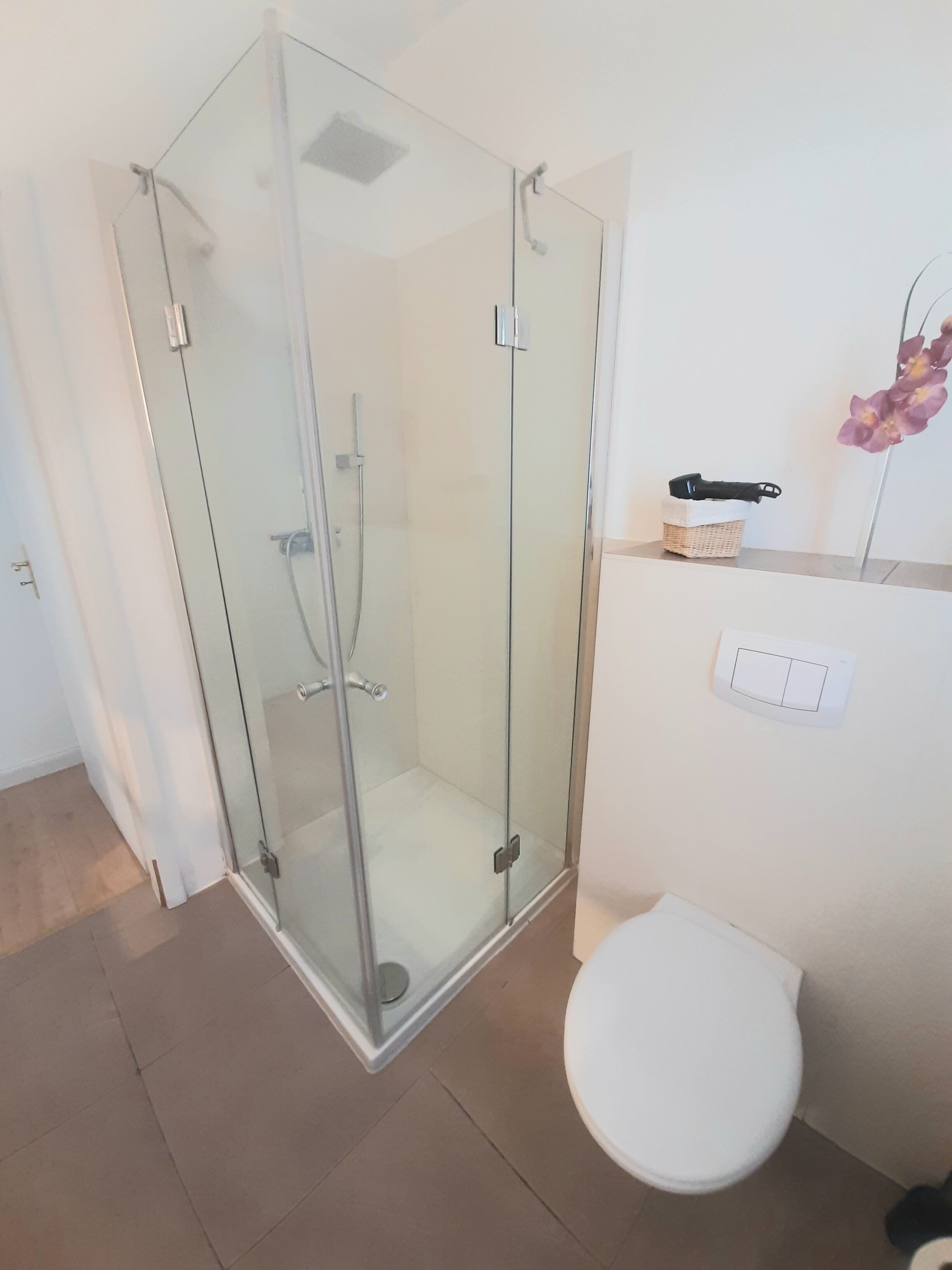 Ein modernes Badezimmer mit einer gläsernen Duschkabine, einer weißen Toilette und einer kleinen Ablage mit Korb und Pflanze.