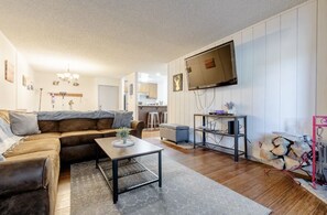 Smart TV, fireplace, books