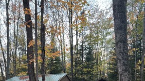 A cabin with a metal roof surrounded by tall trees and a ground covered with fallen leaves. - Private 27 acres in peaceful Tapiola MI   Great home base to explore Western UP. (Chassell)