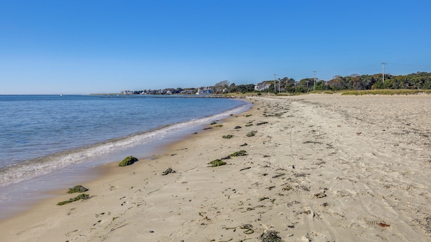 Ein sandiger Strand mit Algen und Fußspuren, ein klarer, blauer Himmel und Gebäude in der Ferne.