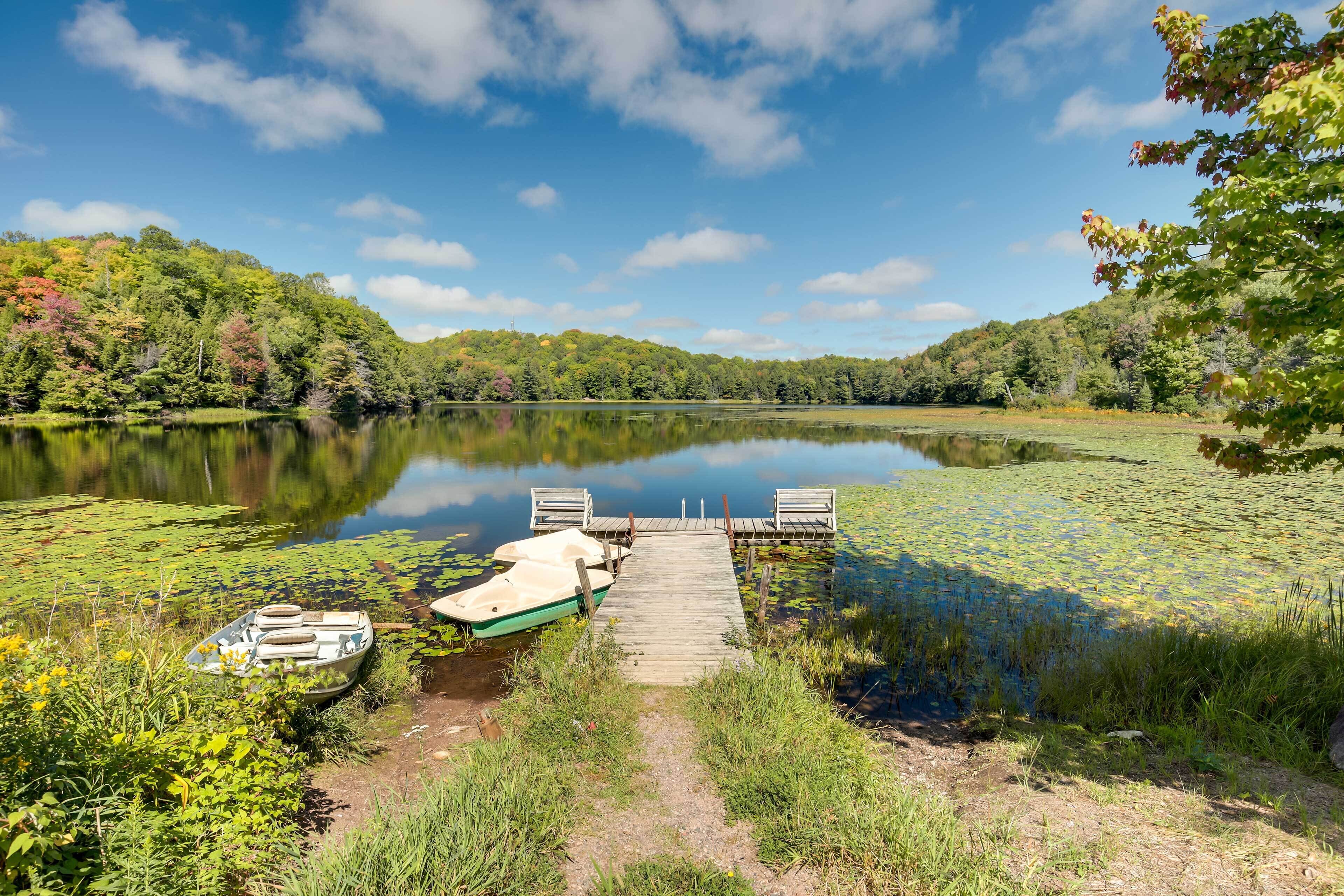 A serene lakeside setting with a wooden dock, a rowboat, and a path leading to the water.