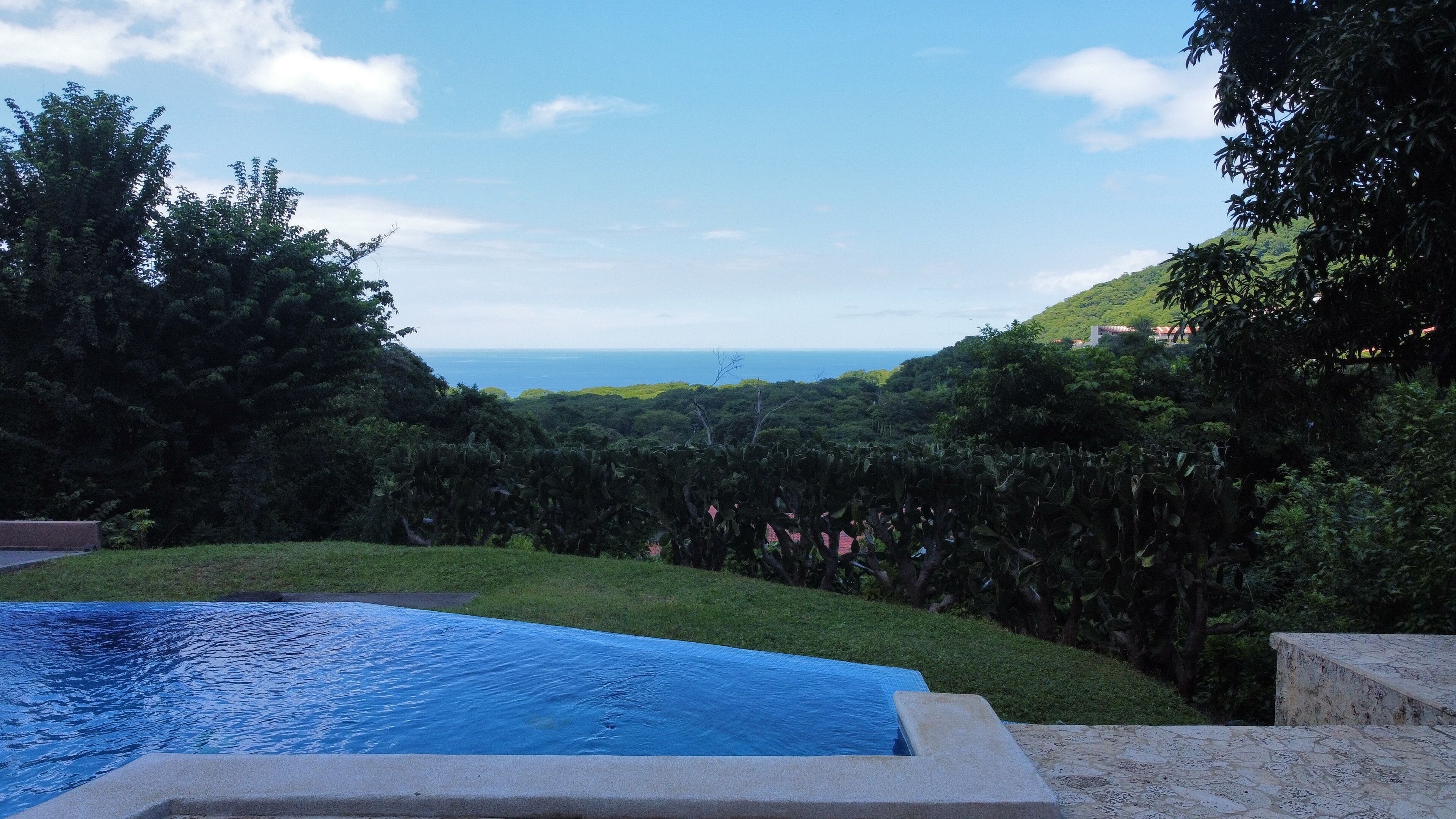 Une piscine offrant une vue sur l’océan et entourée d’une végétation luxuriante.