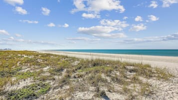 Playa en los alrededores