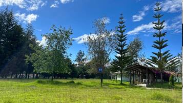 Cabin, 1 Bedroom, Smoking, Garden View | Property grounds