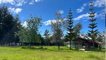 Cabin, 1 Bedroom, Smoking, Garden View | Property grounds
