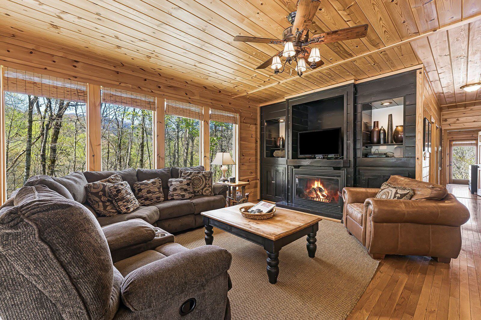 Televisión, chimenea y libros 