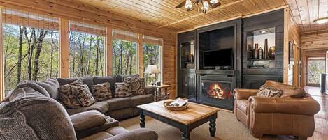 Televisión, chimenea y libros