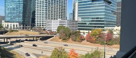 Vista desde la propiedad