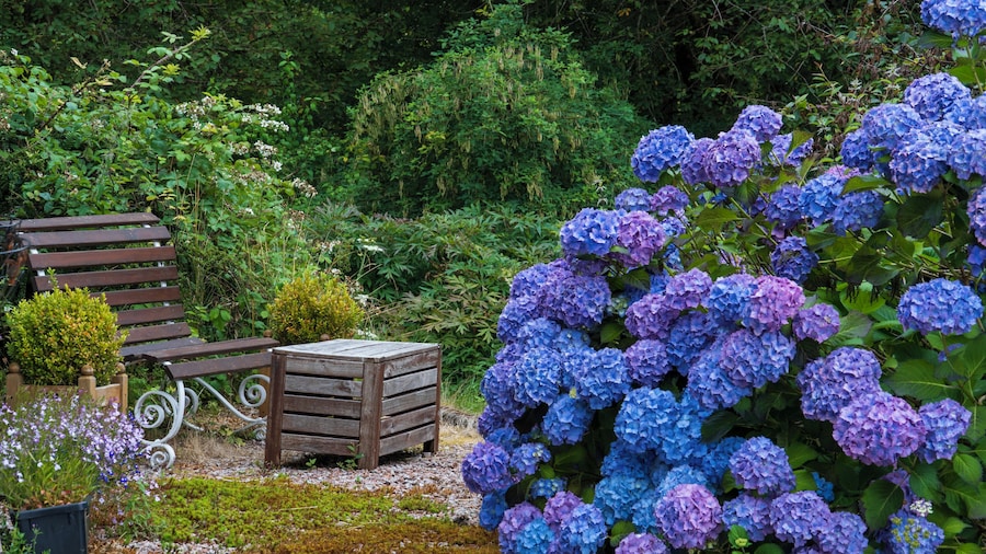 Killean Farmhouse Cottages