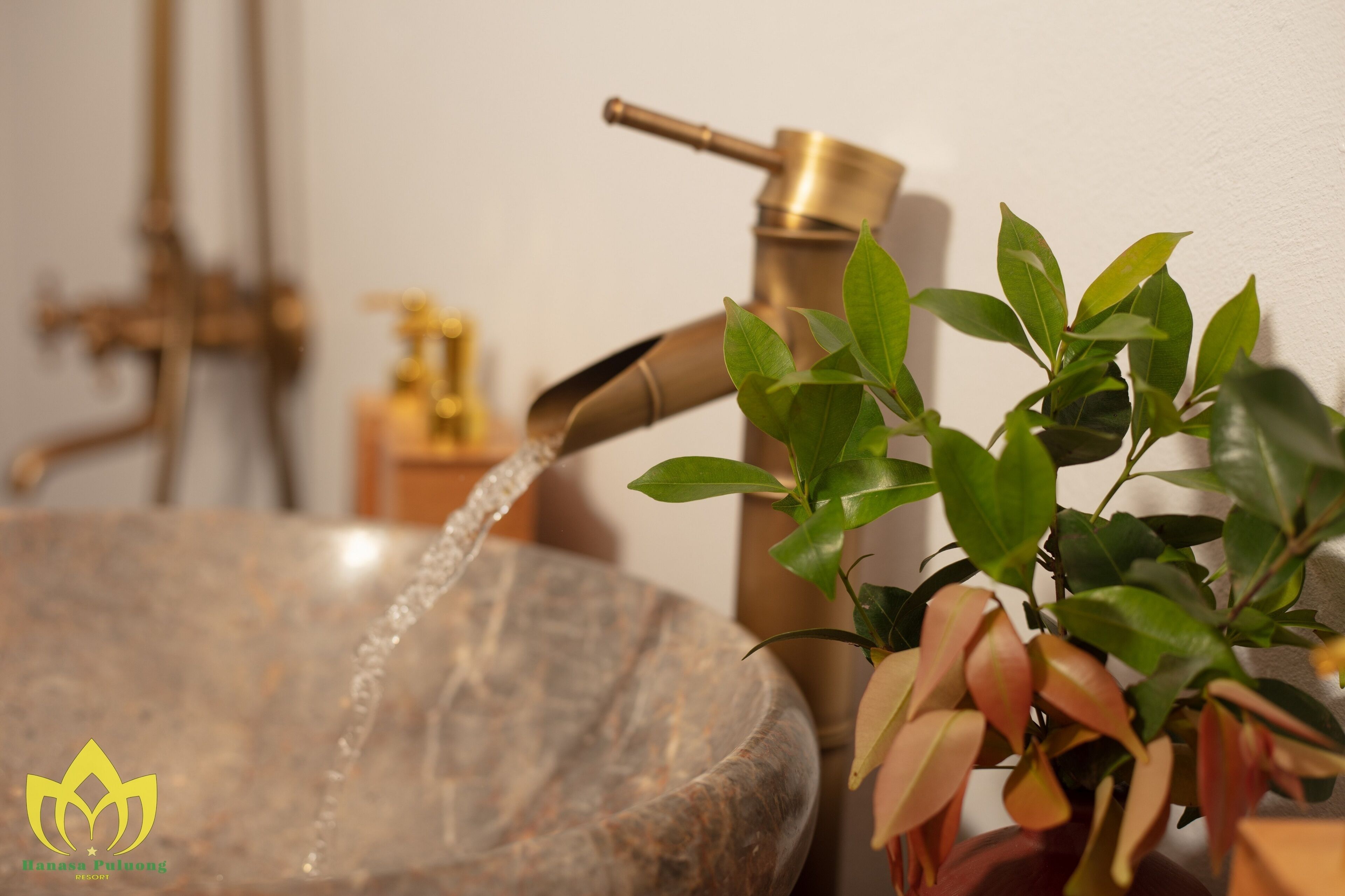 A bathroom sink with a brass faucet and a marble basin, surrounded by green plants.