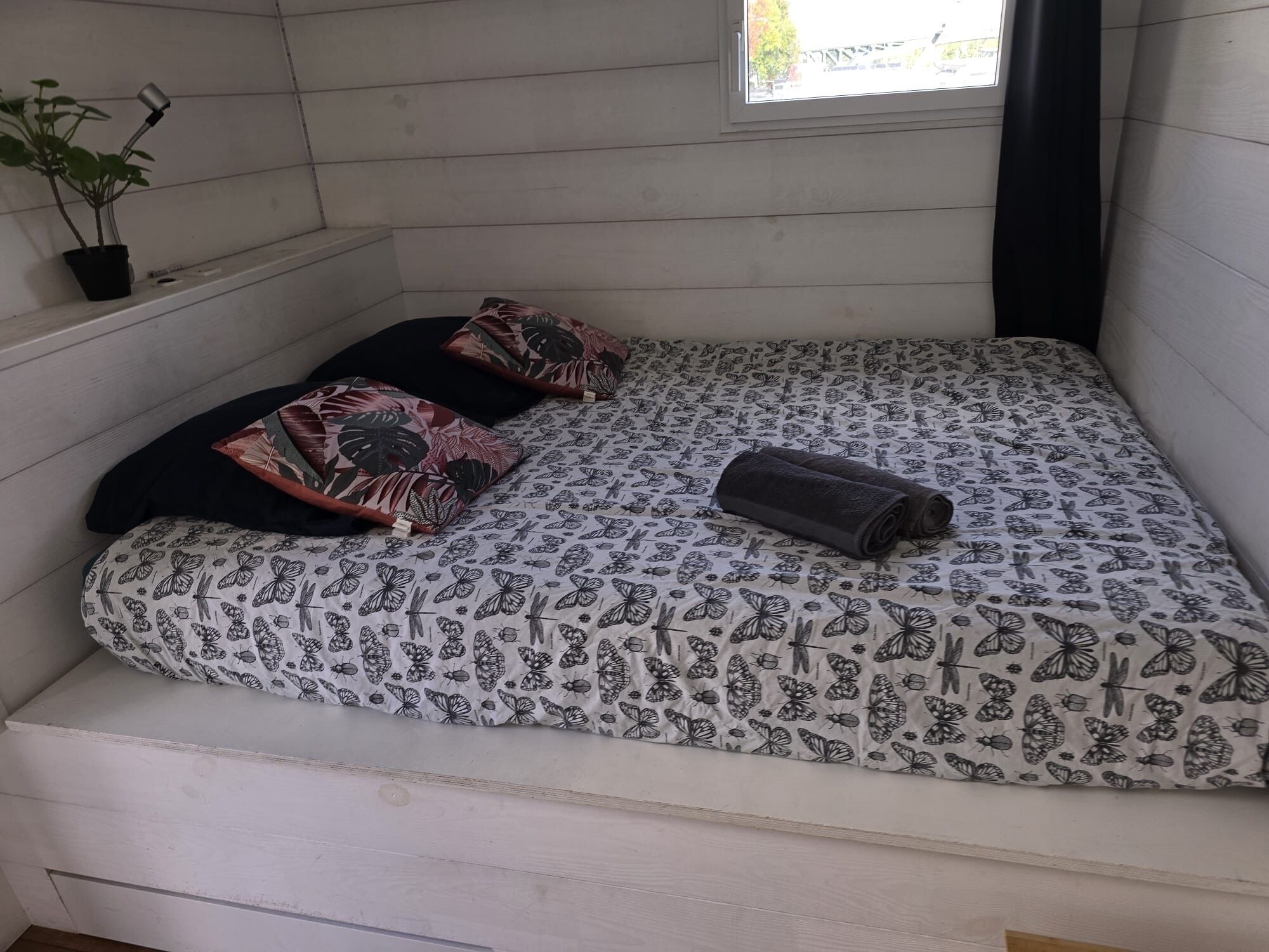 Ein kleiner, gemütlicher Raum mit einem Einzelbett, einer Topfpflanze und einem Fenster.