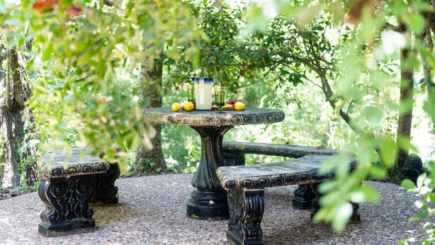 A garden setting with a stone table and benches.