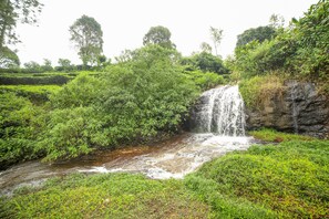 Cascada en la piscina