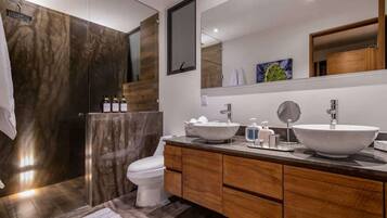 Shower, hair dryer, shampoo