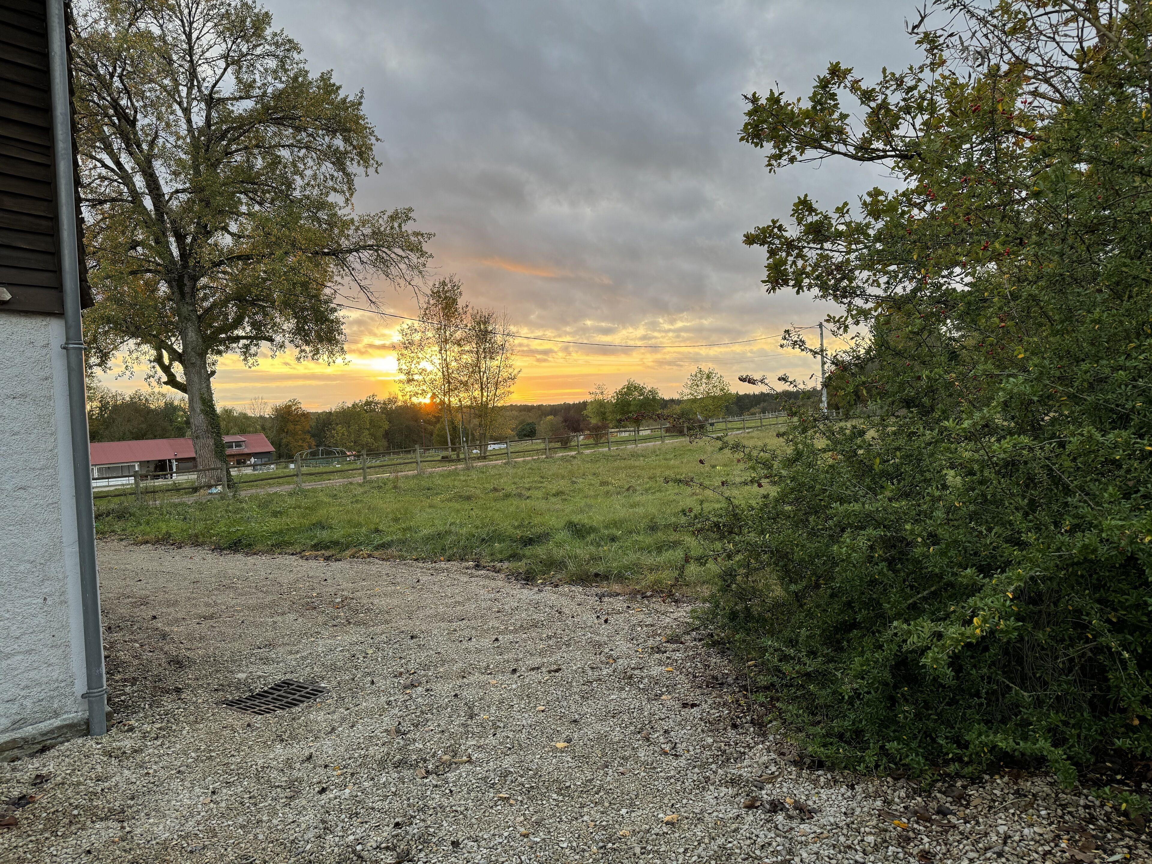 A gravel path leading to a grassy field with trees and a building in the background.