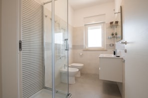 Shower, hair dryer, bidet, towels