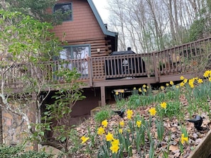 Property grounds - Cozy Mtn Log Cabin, wonderful views, 5 mins from Hayesville town sq, sleeps 8. (Hayesville)