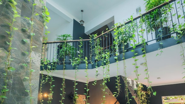 A modern interior with a staircase, seating area, and hanging plants.
