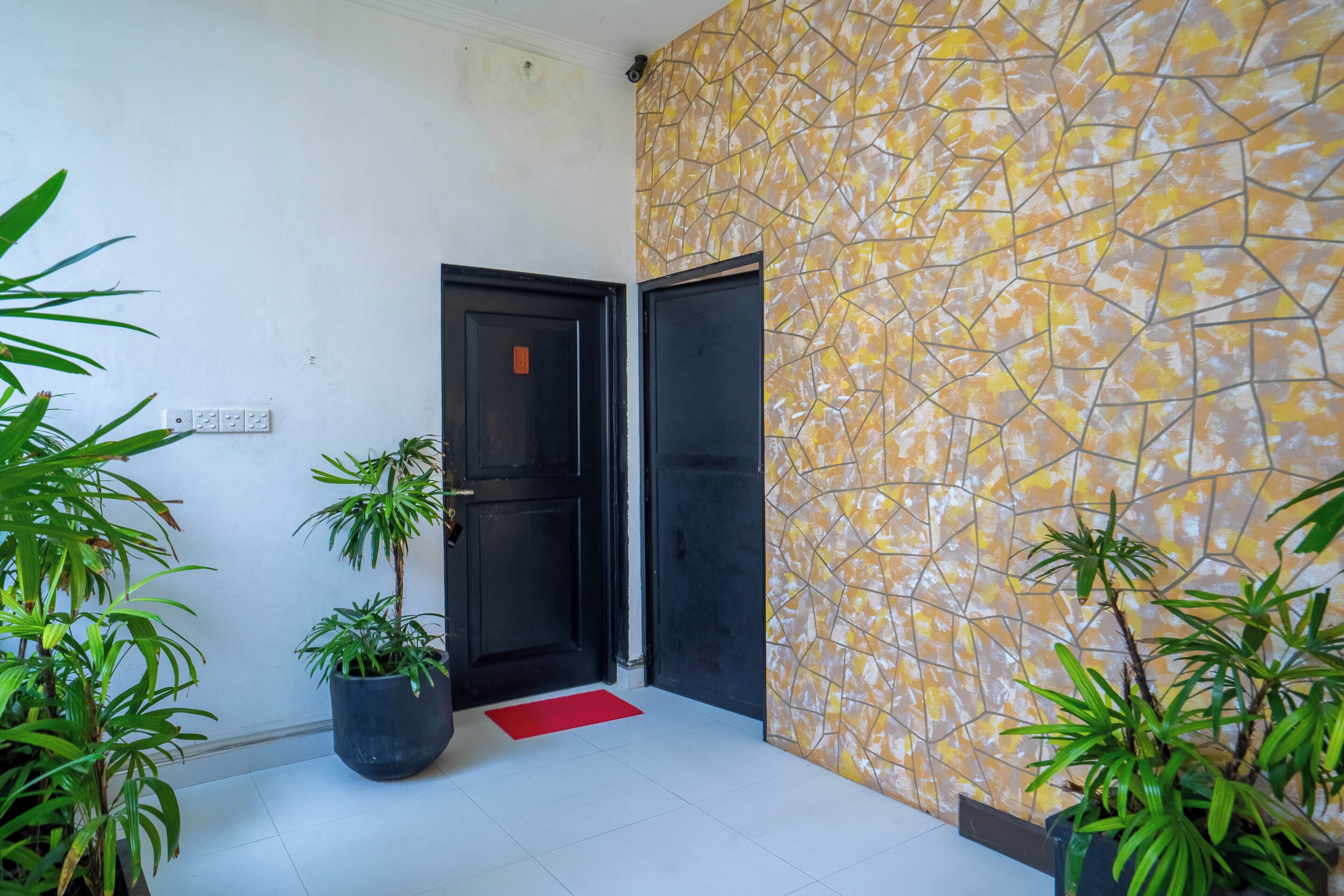 A hallway with a black door, a tiled floor, and potted plants.