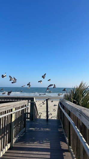Un paseo marítimo de madera que conduce a una playa, con aves volando por encima.