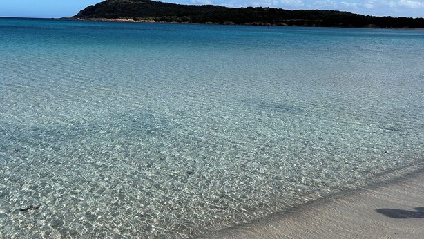 A beach with clear shallow waters, a sandy shore, and a distant hill. - Mini Villa T3 de 48m2 (Lecci)