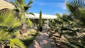 A pathway leading to a building with a modern design, surrounded by palm trees and a clear blue sky. - Mini Villa T3 de 48m2 (Lecci)