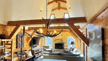 Smart TV, fireplace, video games, books