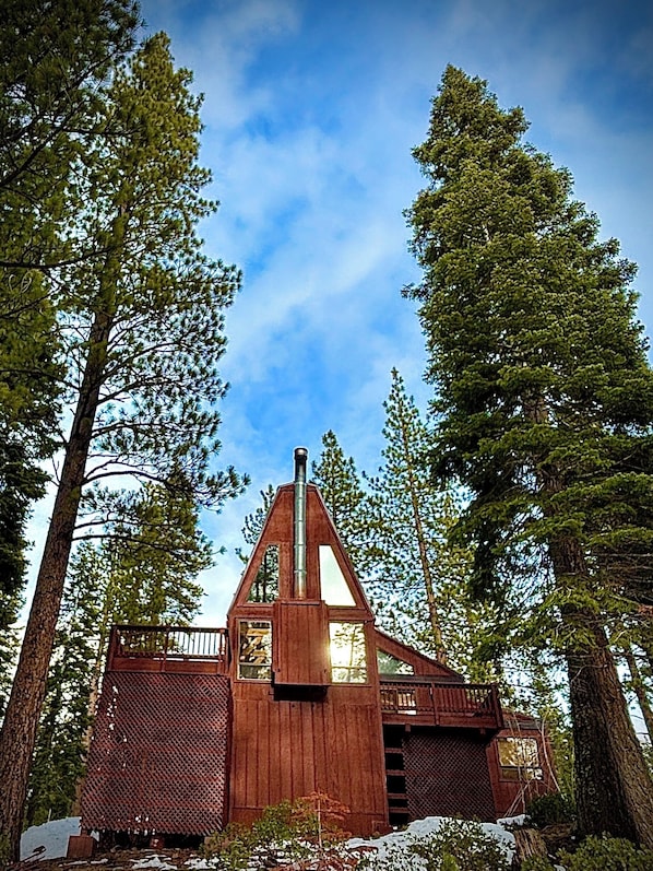 A rustic wooden cabin surrounded by tall pine trees, with a clear blue sky above. - Luxury Northstar Ski Cabin • Free Shuttle to Lifts • Fireplace • Xbox • Hot Tub (Truckee)