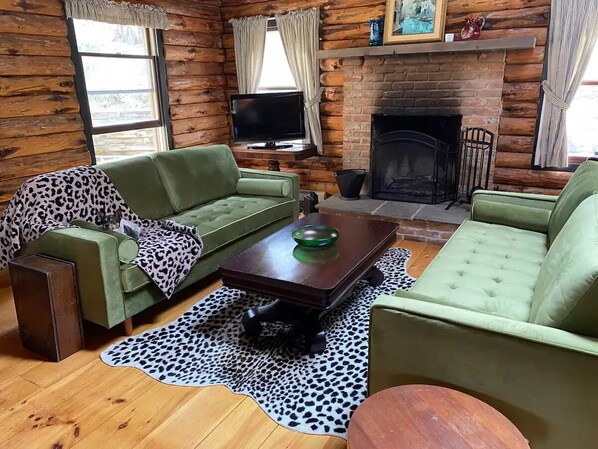 Smart TV, fireplace, ping pong, books