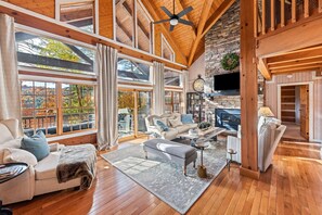 TV, fireplace, books