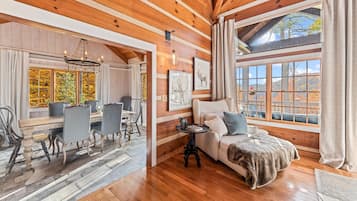 TV, fireplace, books