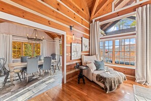 TV, fireplace, books