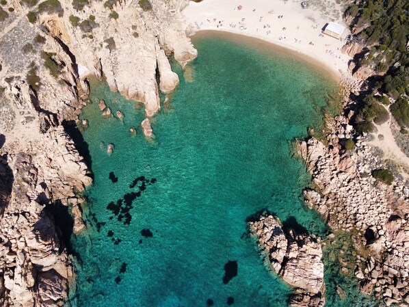 Camastros y toallas de playa