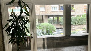 Ein Blumentopf mit Pflanze in einer Empfangshalle, mit Blick auf ein Ziegelgebäude und einen grünen Busch draußen.