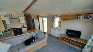 A cozy living room with a grey sofa, a black and white dog, a television, and a kitchen area in the background. - Pet Friendly Caravan in Walton on the Naze (Walton on the Naze)