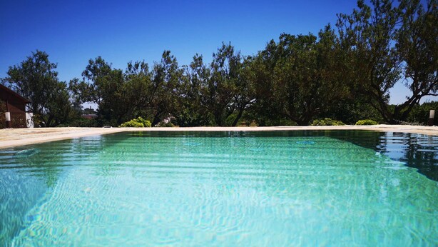 Une piscine aux eaux cristallines, entourée d’arbres, et une plage de sable fin.