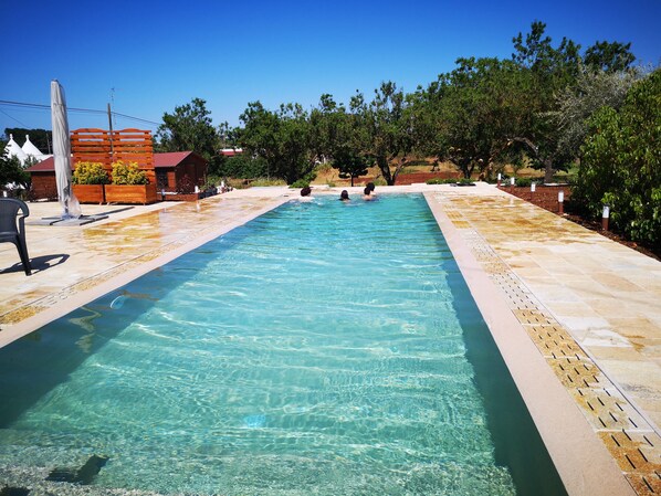 A rectangular swimming pool with clear water, surrounded by a tiled deck and greenery.