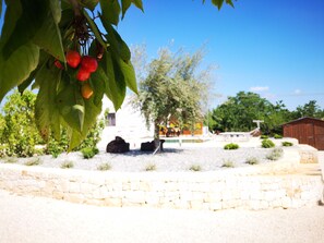 Parco della struttura