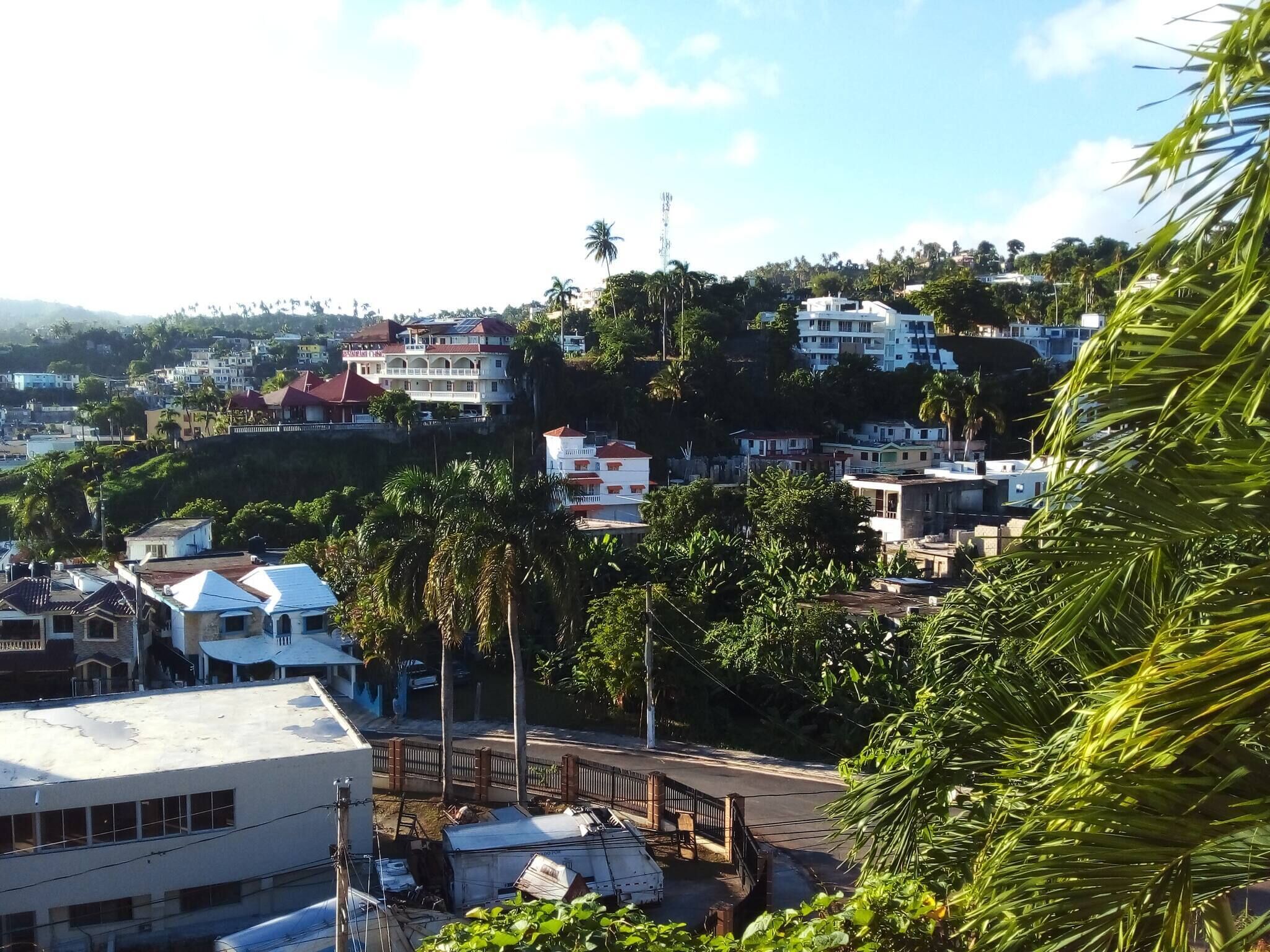 A residential area with houses, a bridge, and palm trees.