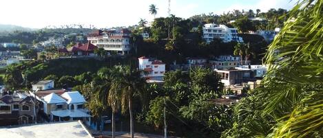A residential area with houses, a bridge, and palm trees.
